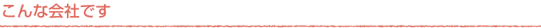 こんな会社です